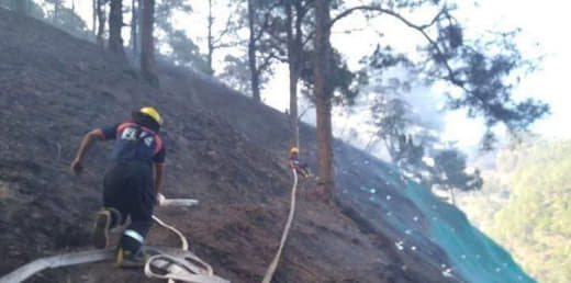 菲律宾本格特省(Benguet)Bokod镇Ambuklao社区的森林...