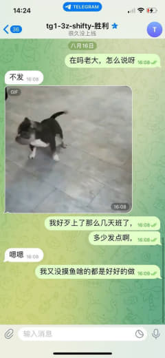 华庭中心19楼三亿体育七八天工资都发不起，真是恶心