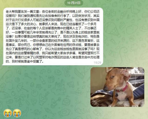 各位老街的金融分析师晚上好，你们公司还没搬吗？