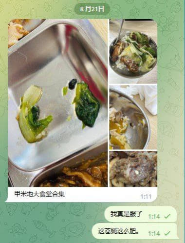 甲米地食堂不拿大家的健康当回事，菜里面居然有蛆